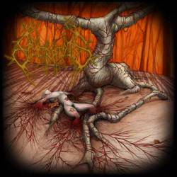 Spectral Tombs : Veins As Poisoned Streams